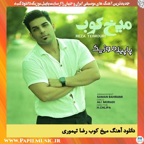 دانلود آهنگ میخ کوب از رضا تیموری